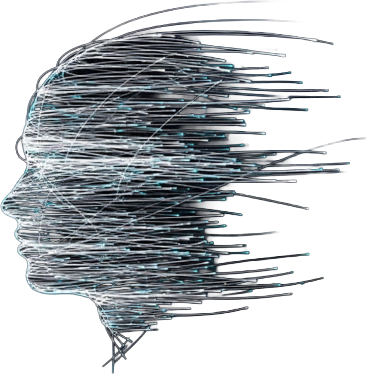 Stephen Wiltshire Art