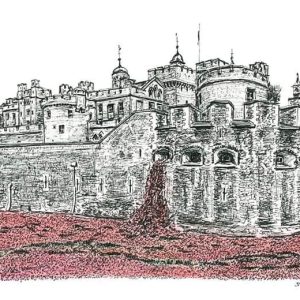 Prints of Poppies at the Tower of London Drawing