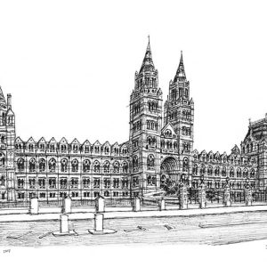Prints of Natural History Museum Drawing