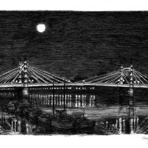 Prints of Albert Bridge at night Drawing