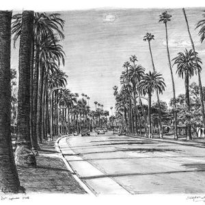 Drawing of Beverly Drive in Beverly Hills