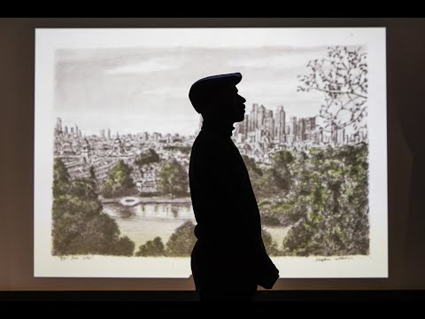 Who is Stephen Wiltshire